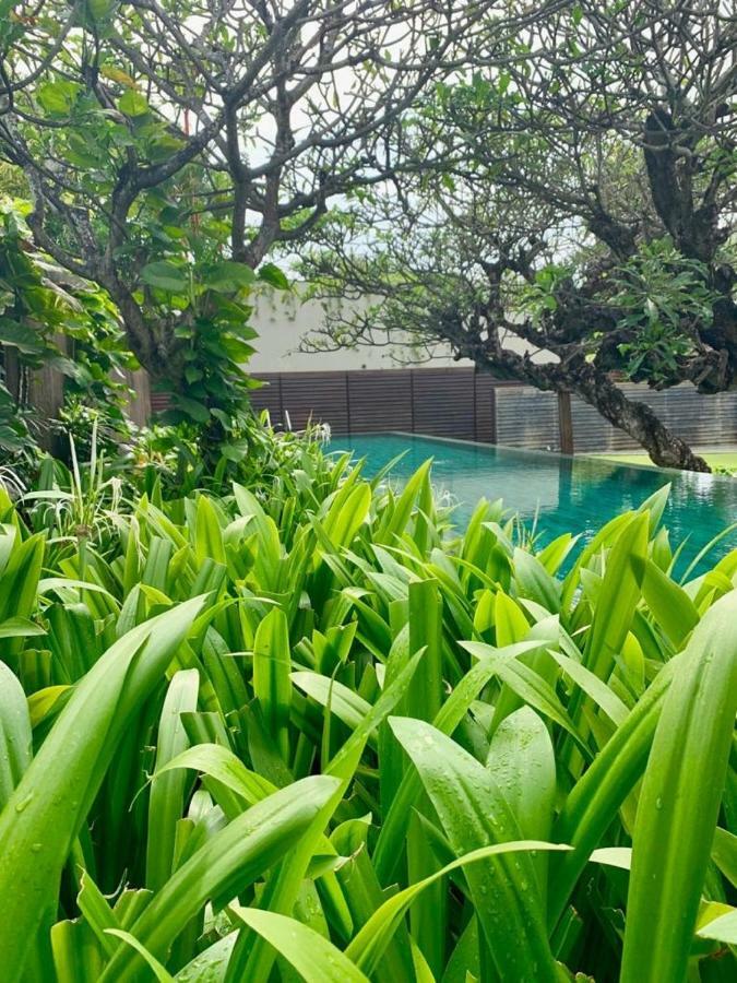 Ziva A Residence Seminyak Buitenkant foto